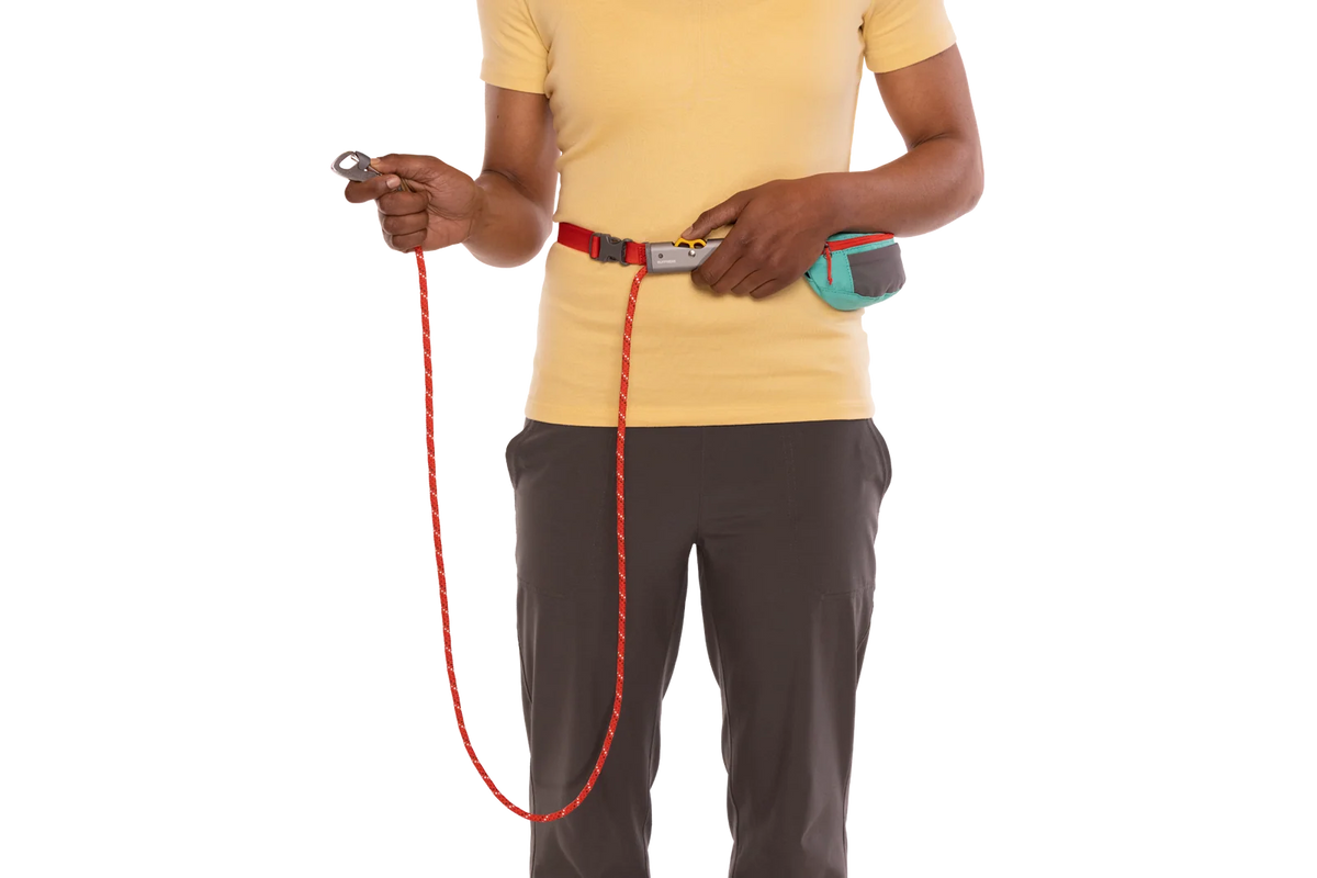 Adjustable Dog Leash and Hitching System