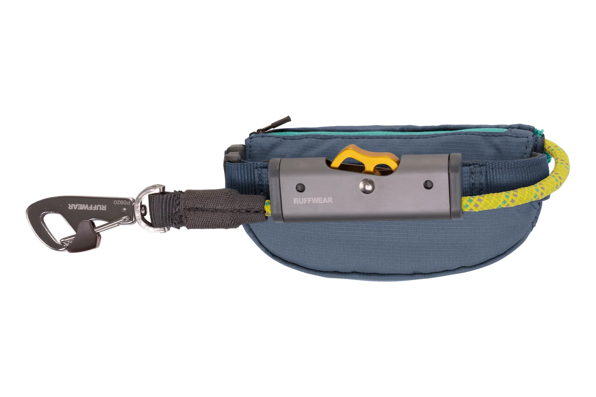 Adjustable Dog Leash and Hitching System