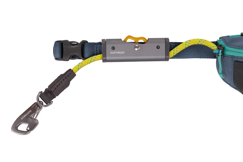Adjustable Dog Leash and Hitching System