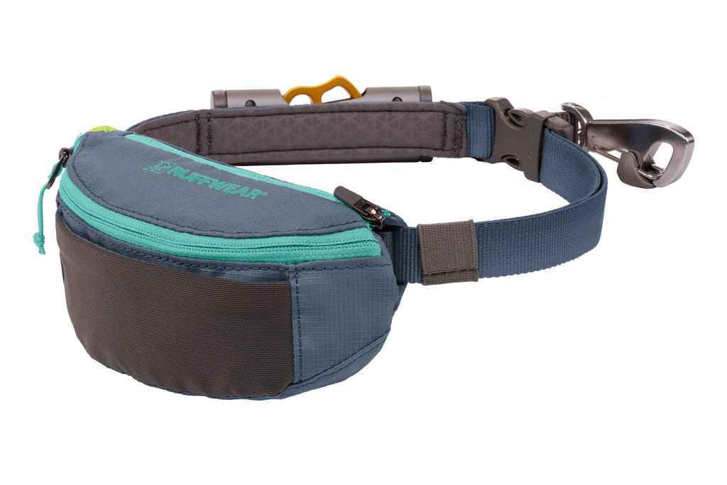 Adjustable Dog Leash and Hitching System