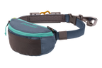 Adjustable Dog Leash and Hitching System