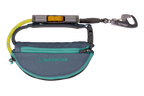 Adjustable Dog Leash and Hitching System