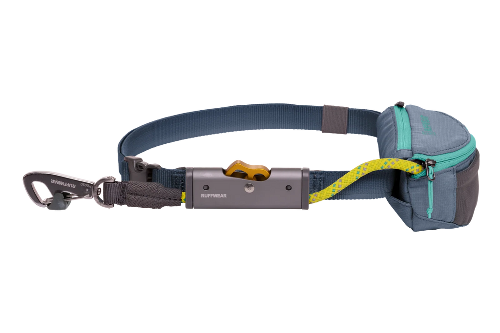 Adjustable Dog Leash and Hitching System