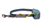 Adjustable Dog Leash and Hitching System