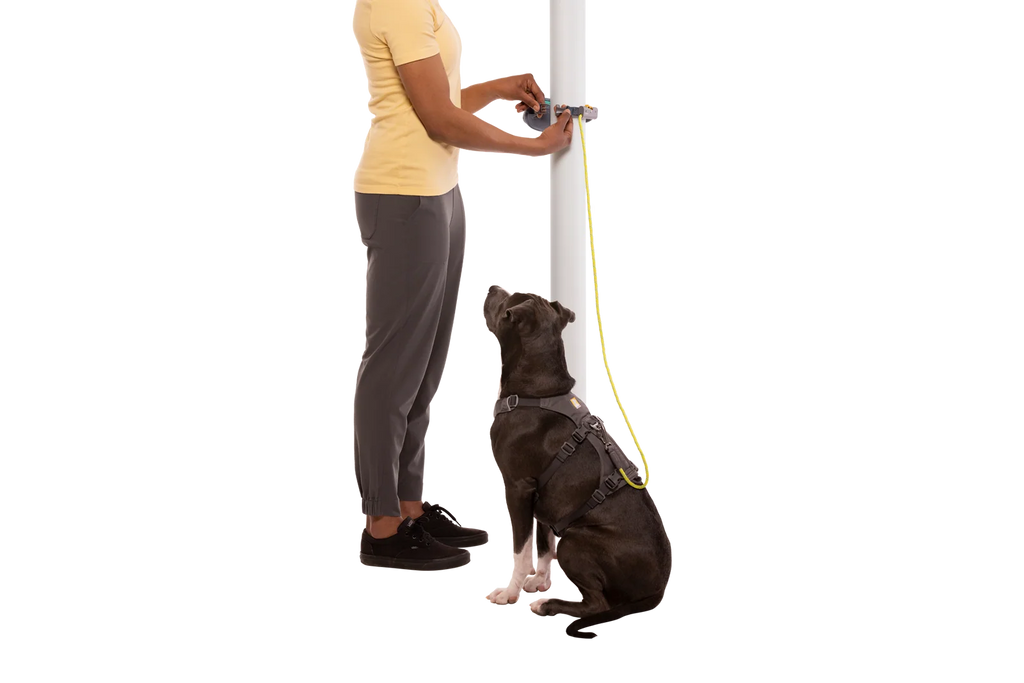 Adjustable Dog Leash and Hitching System