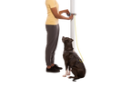 Adjustable Dog Leash and Hitching System
