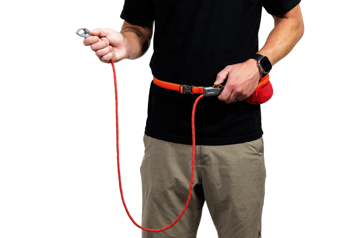 Adjustable Dog Leash and Hitching System