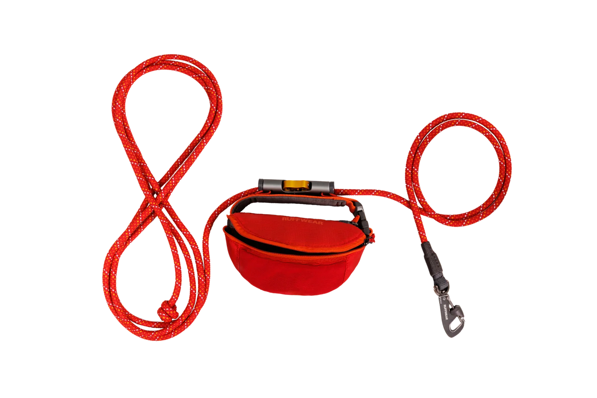 Adjustable Dog Leash and Hitching System