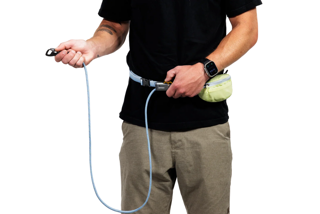 Adjustable Dog Leash and Hitching System