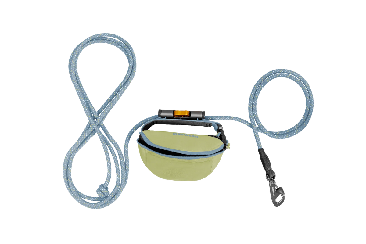 Adjustable Dog Leash and Hitching System
