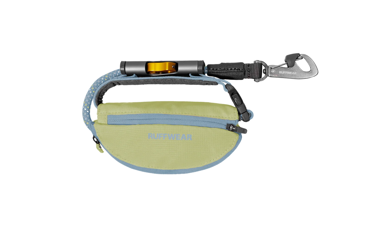 Adjustable Dog Leash and Hitching System