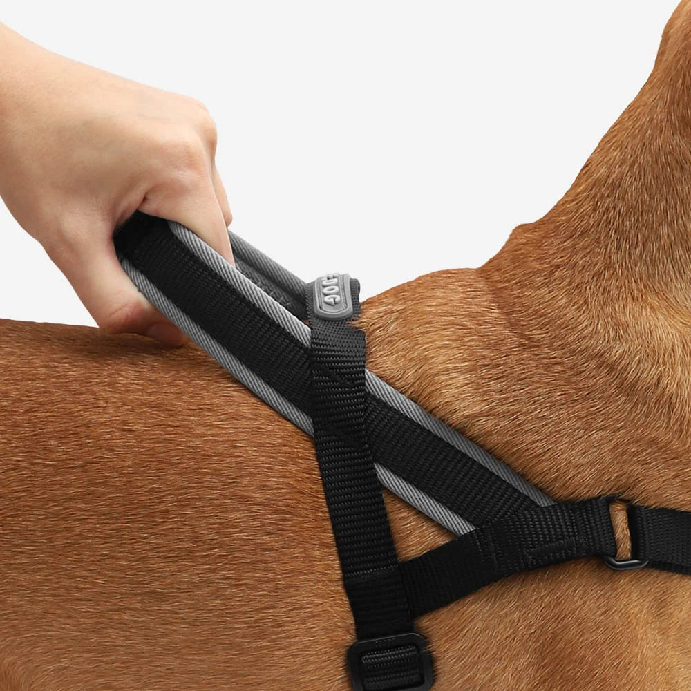 Adjustable No-Pull Dog Harness