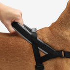 Adjustable No-Pull Dog Harness