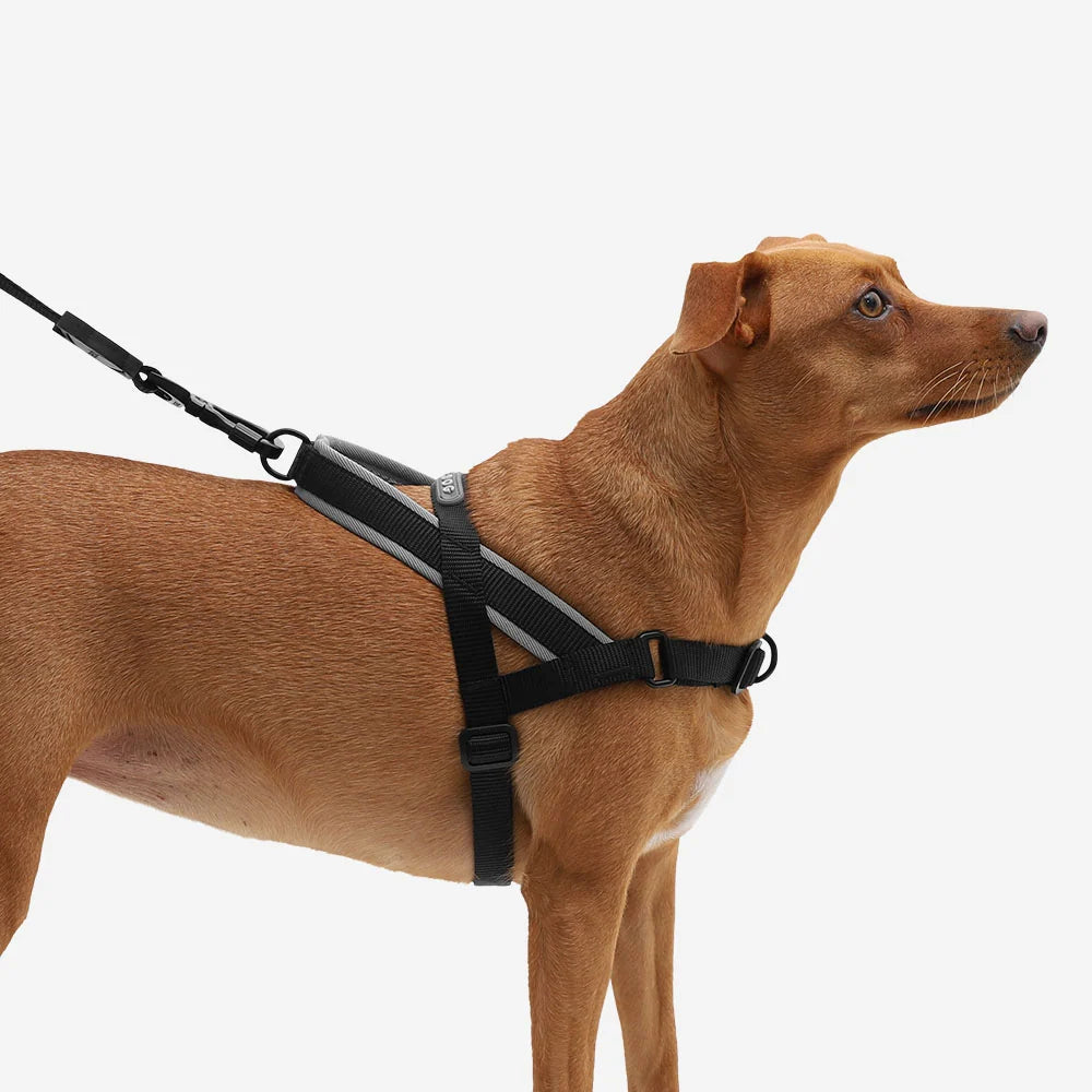 Adjustable No-Pull Dog Harness
