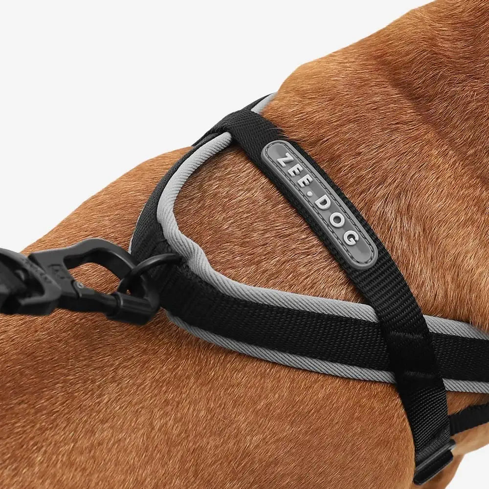 Adjustable No-Pull Dog Harness