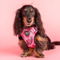 Adjustable No-Pull Dog Harness with Front and Back D-Rings, Reflective Trim and Training Handle