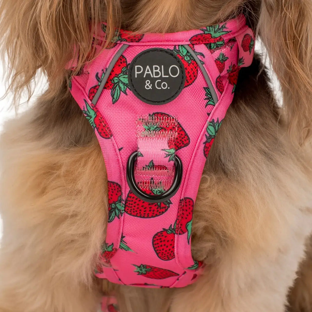 Adjustable No-Pull Dog Harness with Front and Back D-Rings, Reflective Trim and Training Handle
