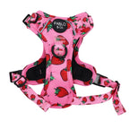 Adjustable No-Pull Dog Harness with Front and Back D-Rings, Reflective Trim and Training Handle