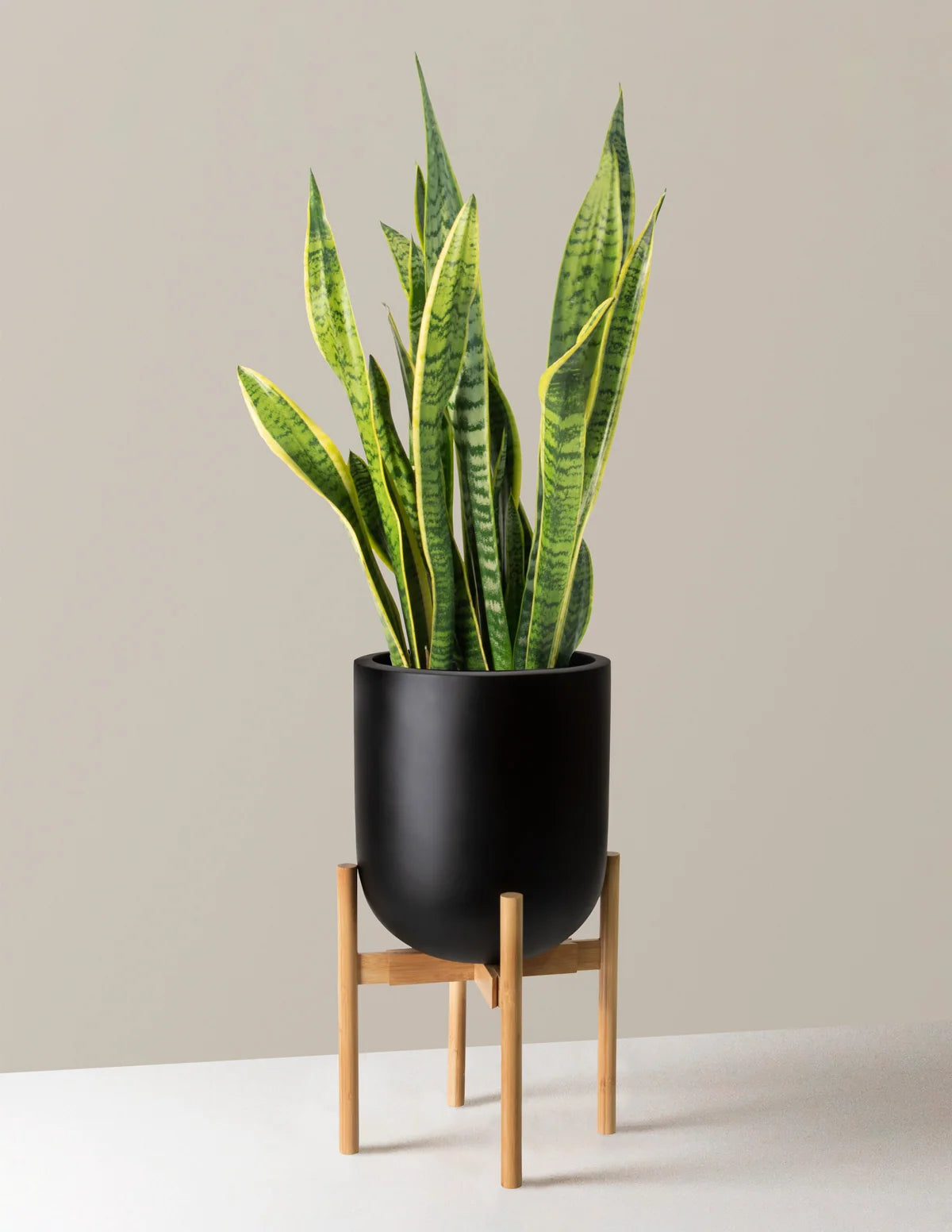 Adjustable Plant Stand