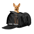 Air Travel Pet Carrier with Flex-Height Design, Mesh Ventilation, Safety Tether and Washable Comfort Pad — Black 2.0