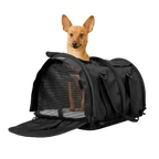 Air Travel Pet Carrier with Flex-Height Design, Mesh Ventilation, Safety Tether and Washable Comfort Pad — Black 2.0