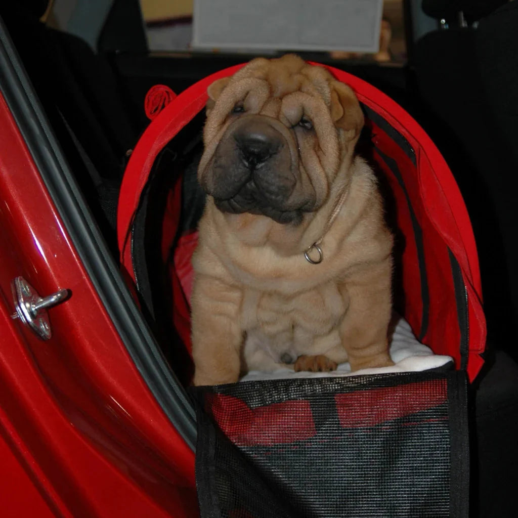 Air Travel Pet Carrier with Flex-Height Design, Mesh Ventilation, Safety Tether and Washable Comfort Pad