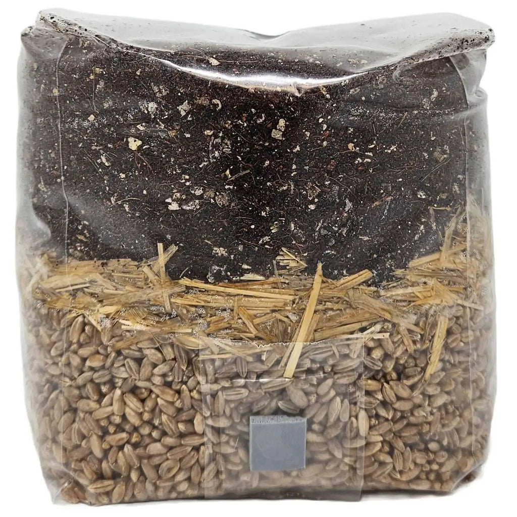 All-in-One Mushroom Grow Bag