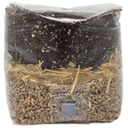 All-in-One Mushroom Grow Bag