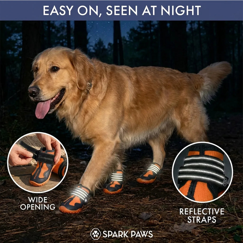 All-Season Dog Shoes in a Four-Piece Set