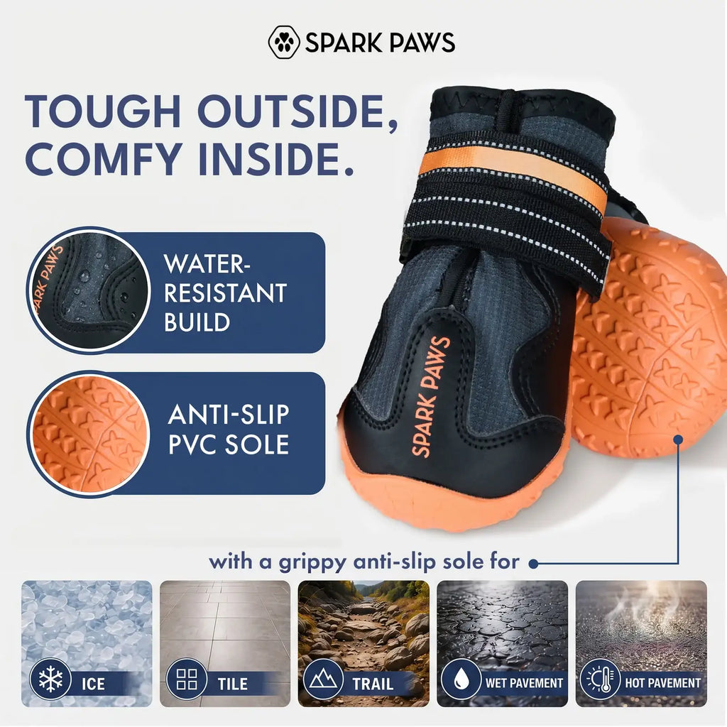 All-Season Dog Shoes in a Four-Piece Set