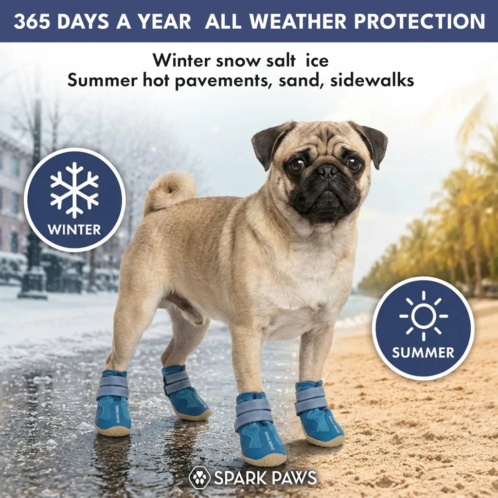 All-Season Dog Shoes in a Four-Piece Set