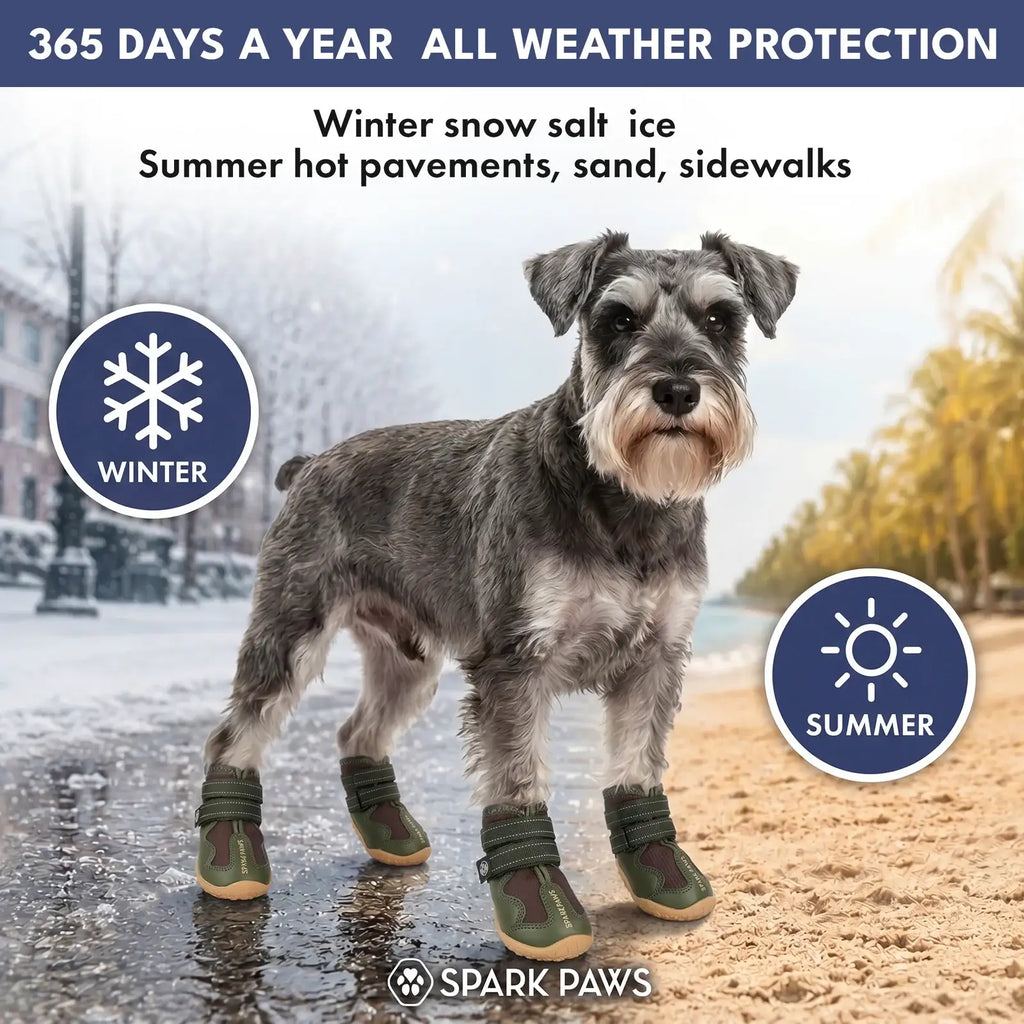 All-Season Dog Shoes in a Four-Piece Set