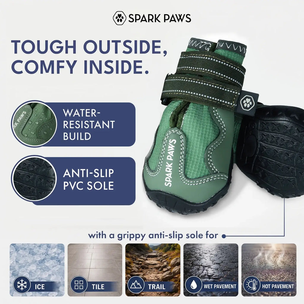All-Season Dog Shoes in a Four-Piece Set