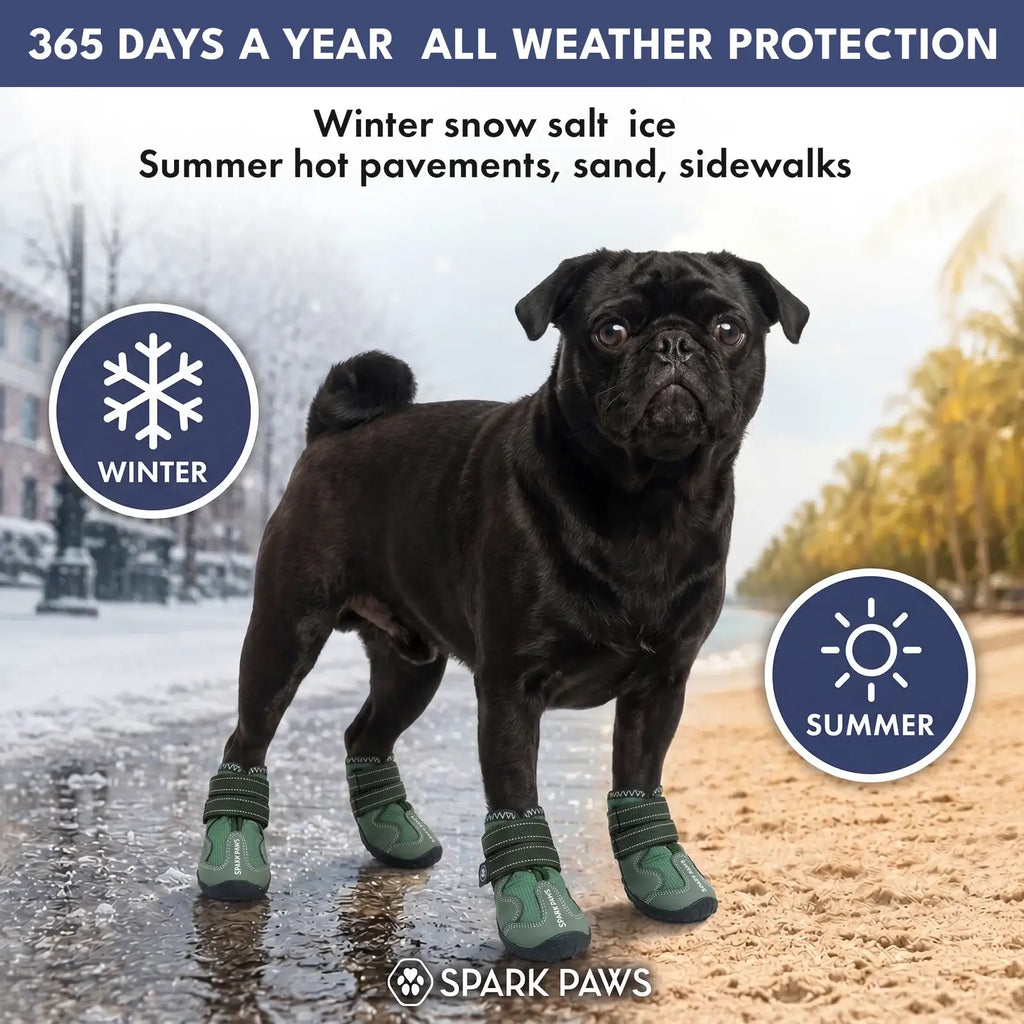 All-Season Dog Shoes in a Four-Piece Set