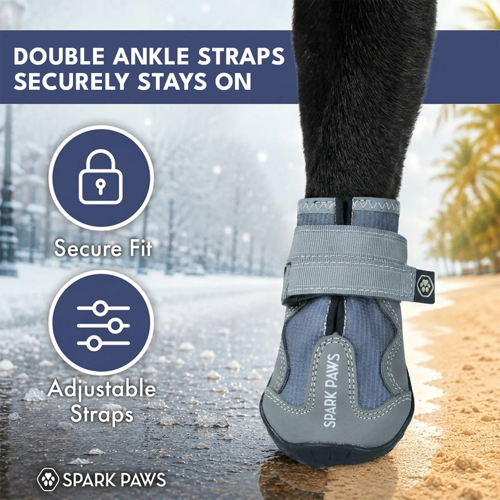 All-Season Dog Shoes in a Four-Piece Set