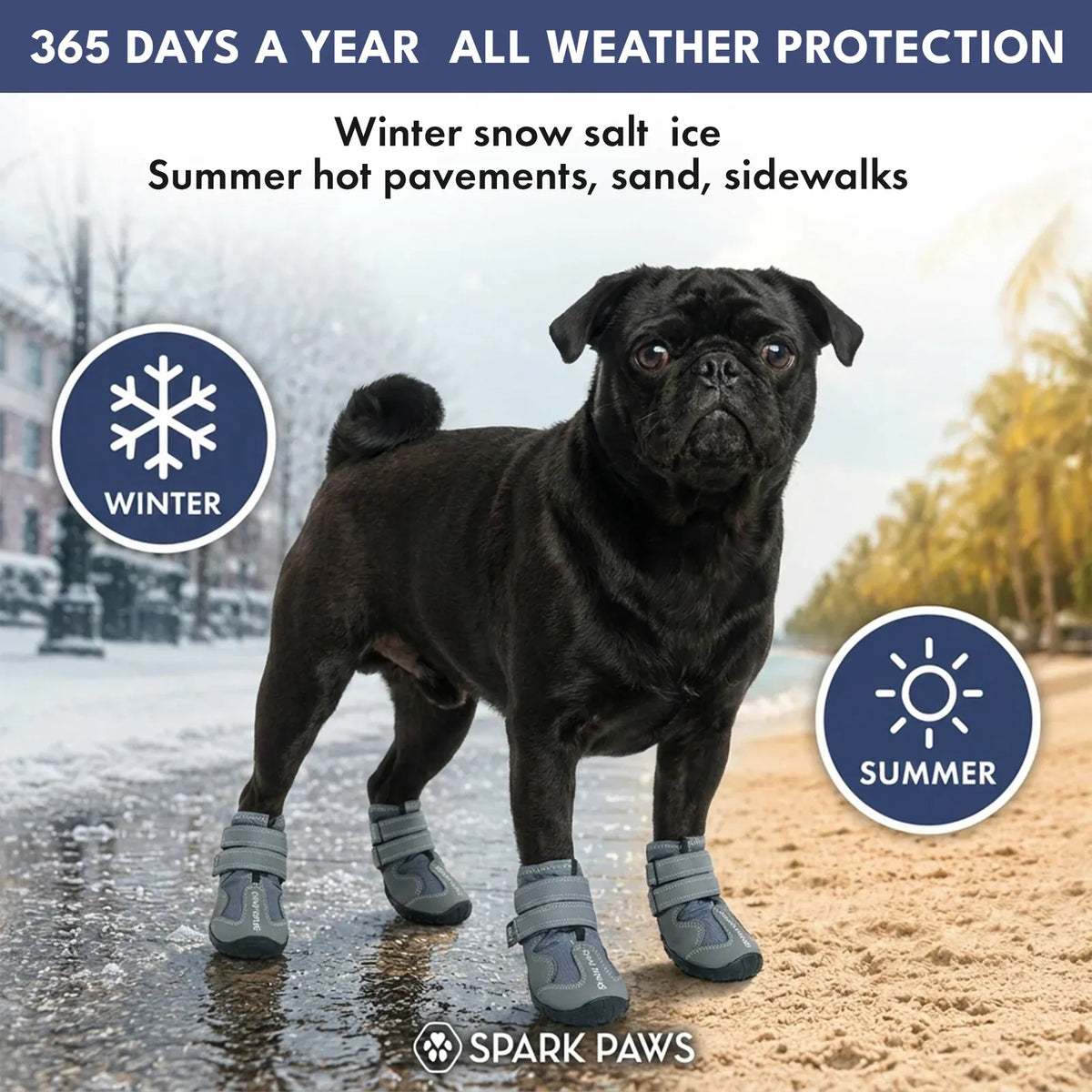 All-Season Dog Shoes in a Four-Piece Set