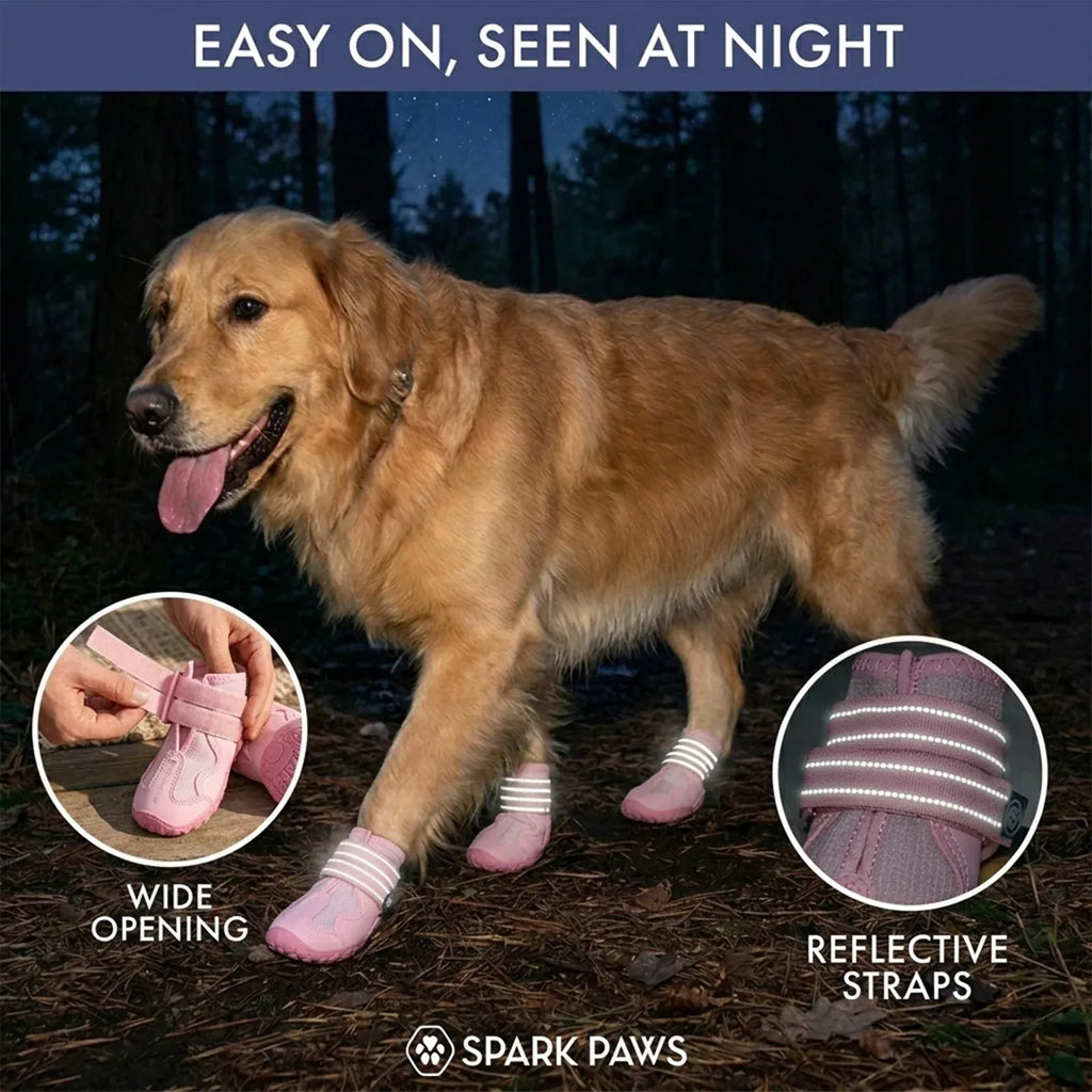 All-Season Dog Shoes in a Four-Piece Set
