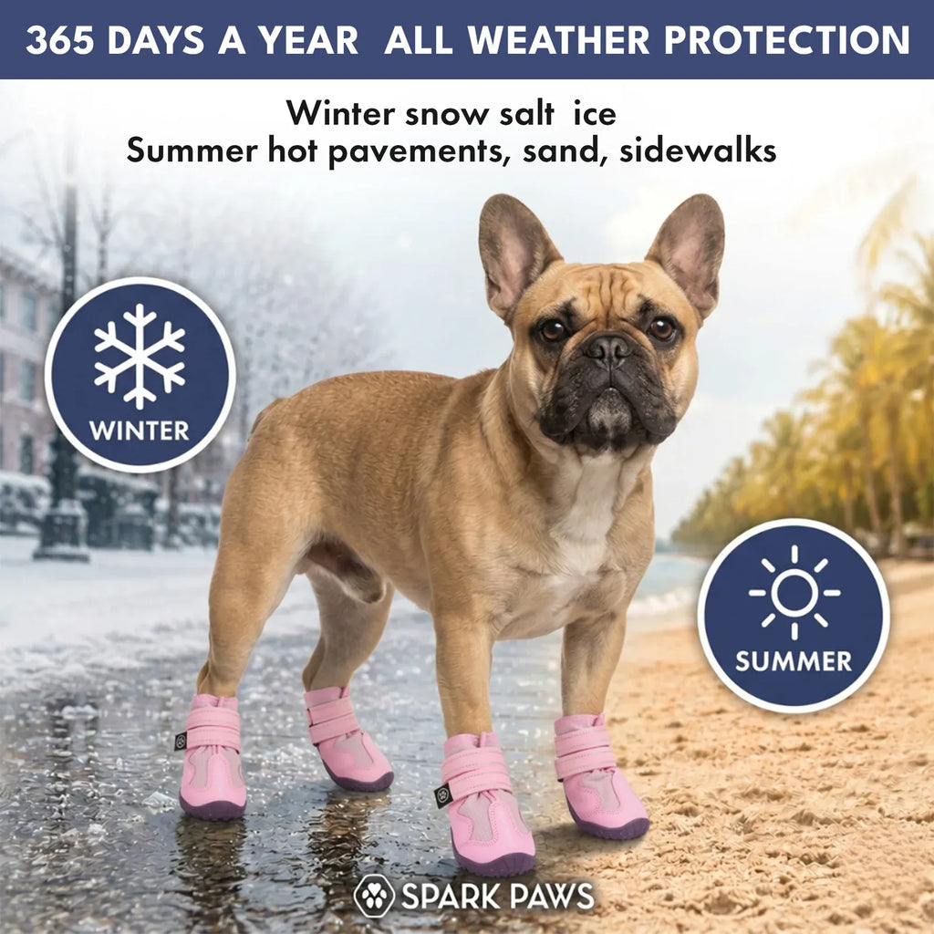 All-Season Dog Shoes in a Four-Piece Set