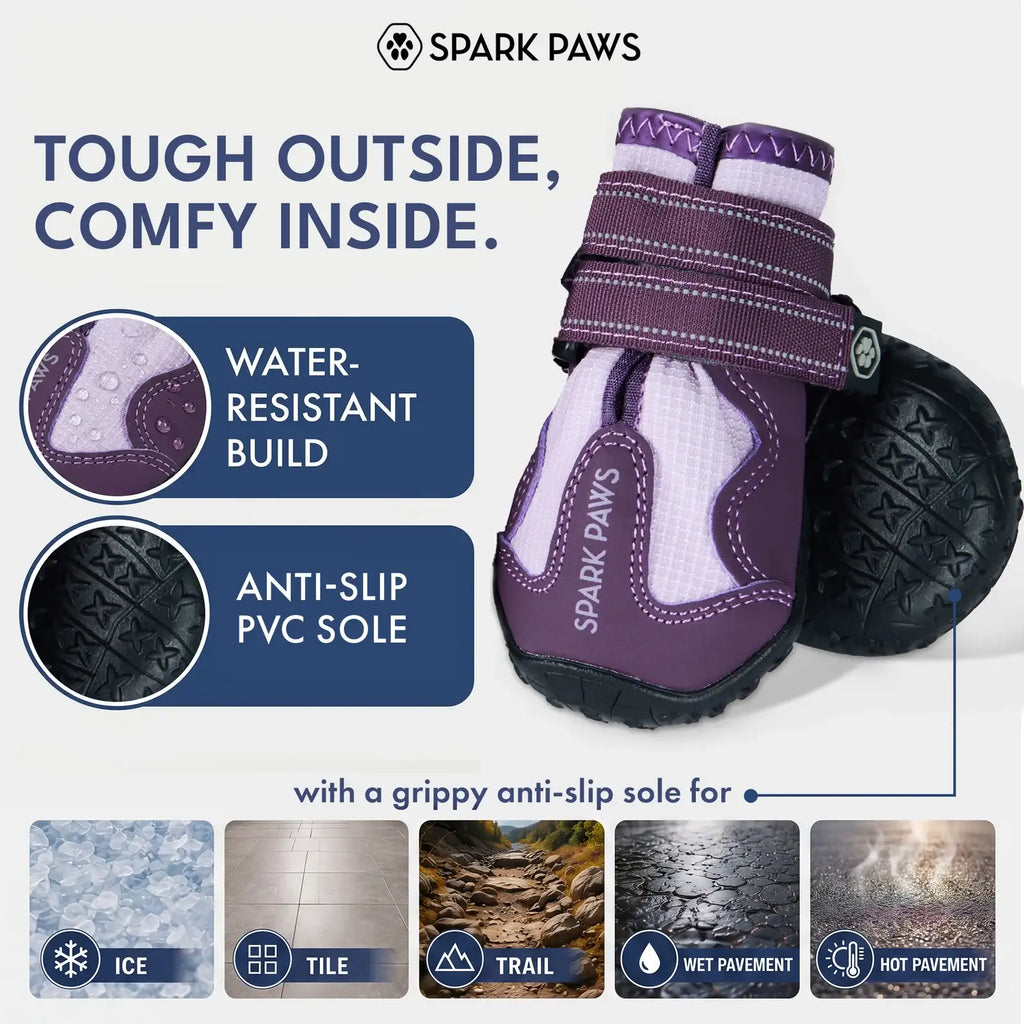 All-Season Dog Shoes in a Four-Piece Set