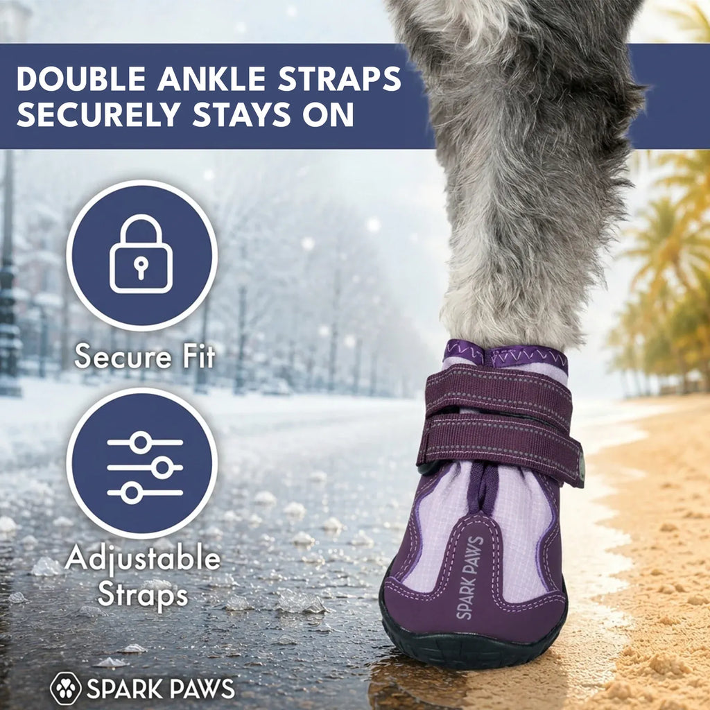 All-Season Dog Shoes in a Four-Piece Set