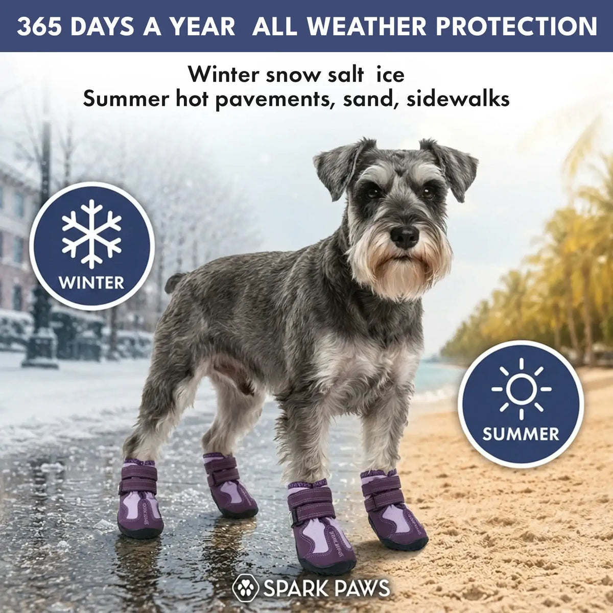 All-Season Dog Shoes in a Four-Piece Set