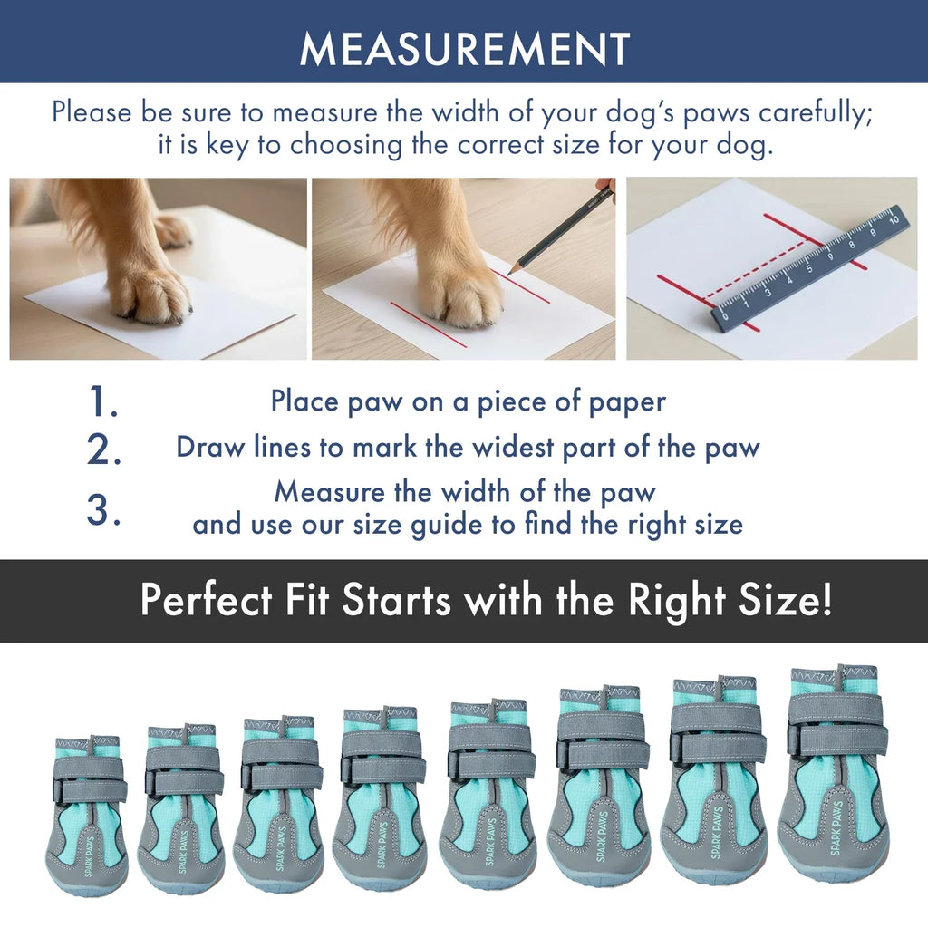 All-Season Dog Shoes in a Four-Piece Set