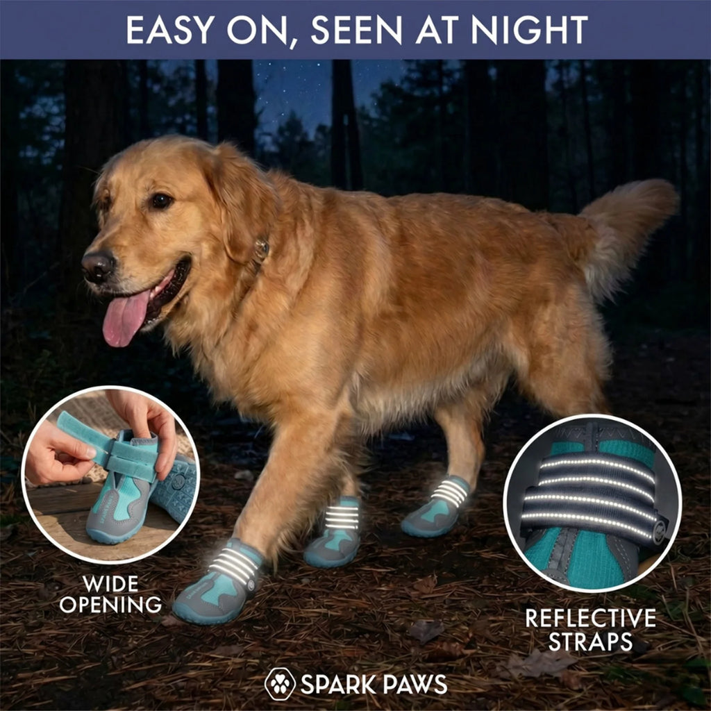 All-Season Dog Shoes in a Four-Piece Set