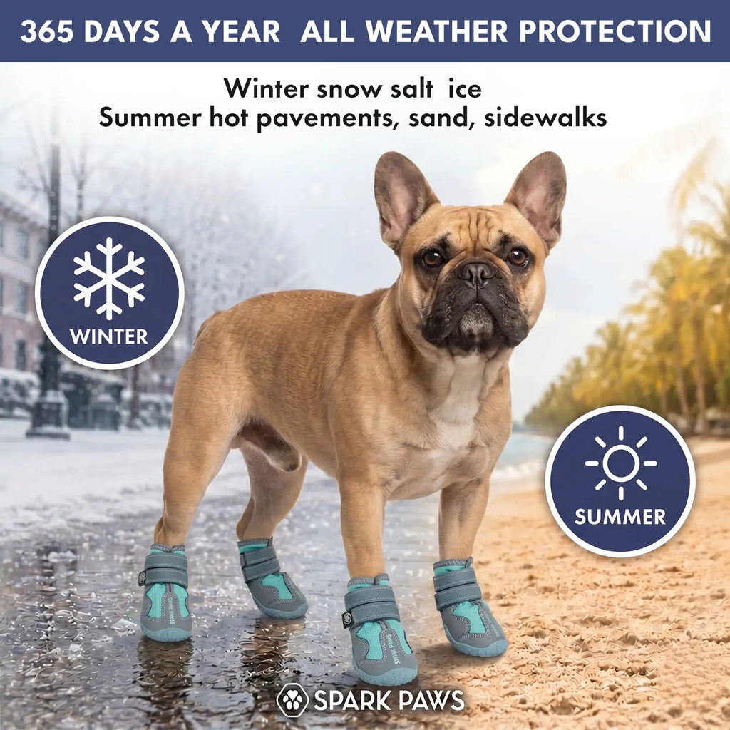 All-Season Dog Shoes in a Four-Piece Set