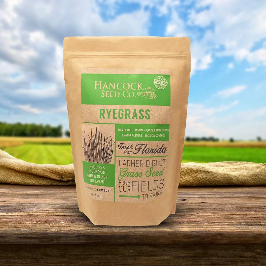 Annual Ryegrass Seed