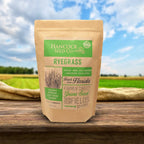 Annual Ryegrass Seed