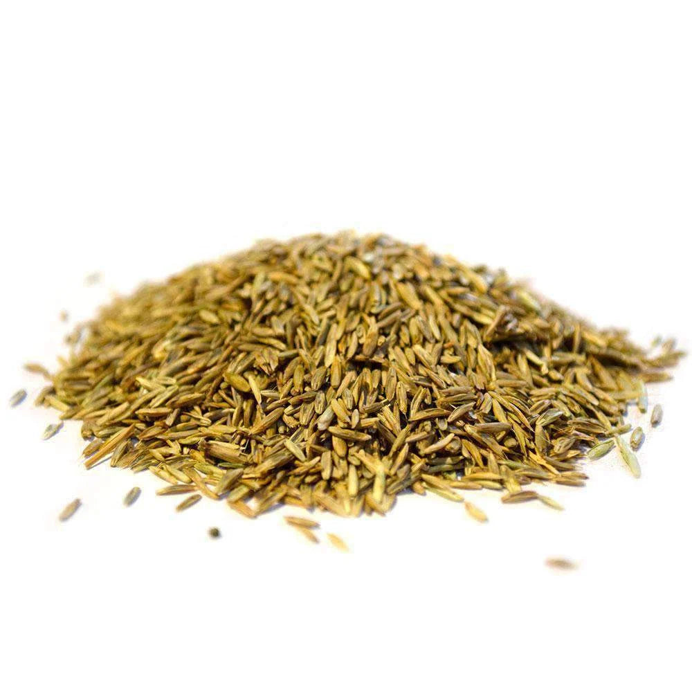Annual Ryegrass Seed