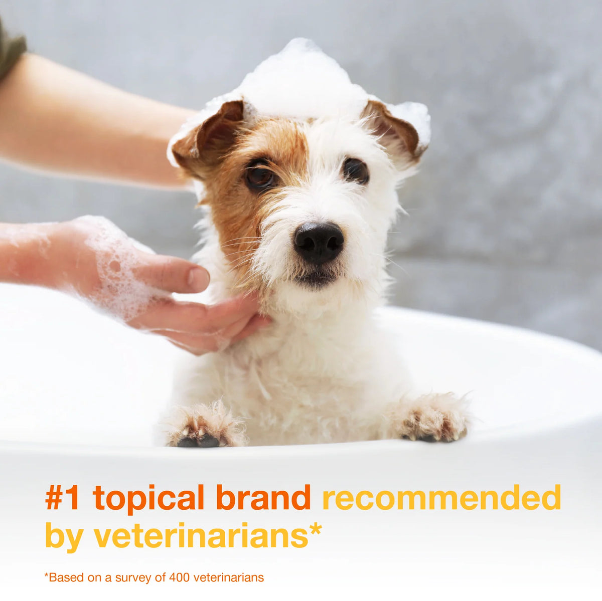Antiseptic Pet Shampoo for Dogs and Cats with 3% Chlorhexidine Digluconate for Cleansing and Skin Hydration
