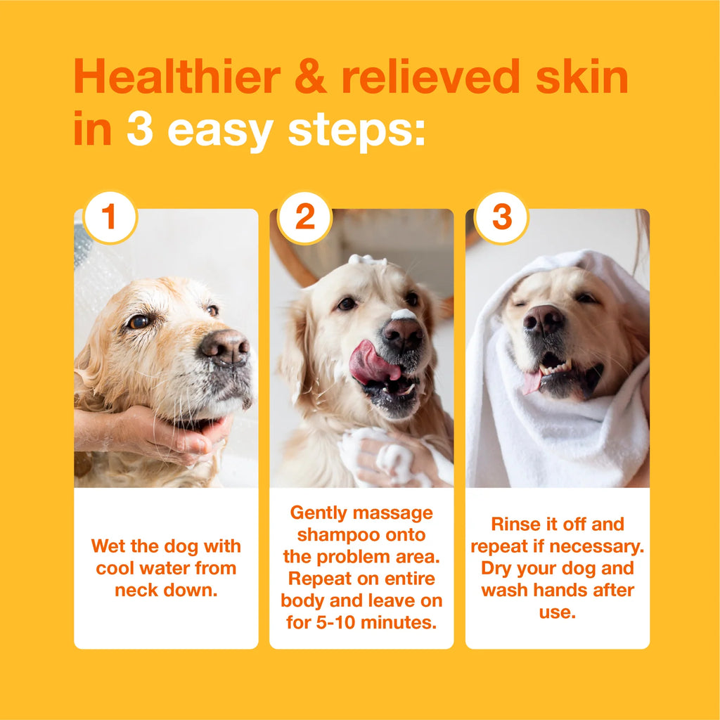 Antiseptic Pet Shampoo for Dogs and Cats with 3% Chlorhexidine Digluconate for Cleansing and Skin Hydration