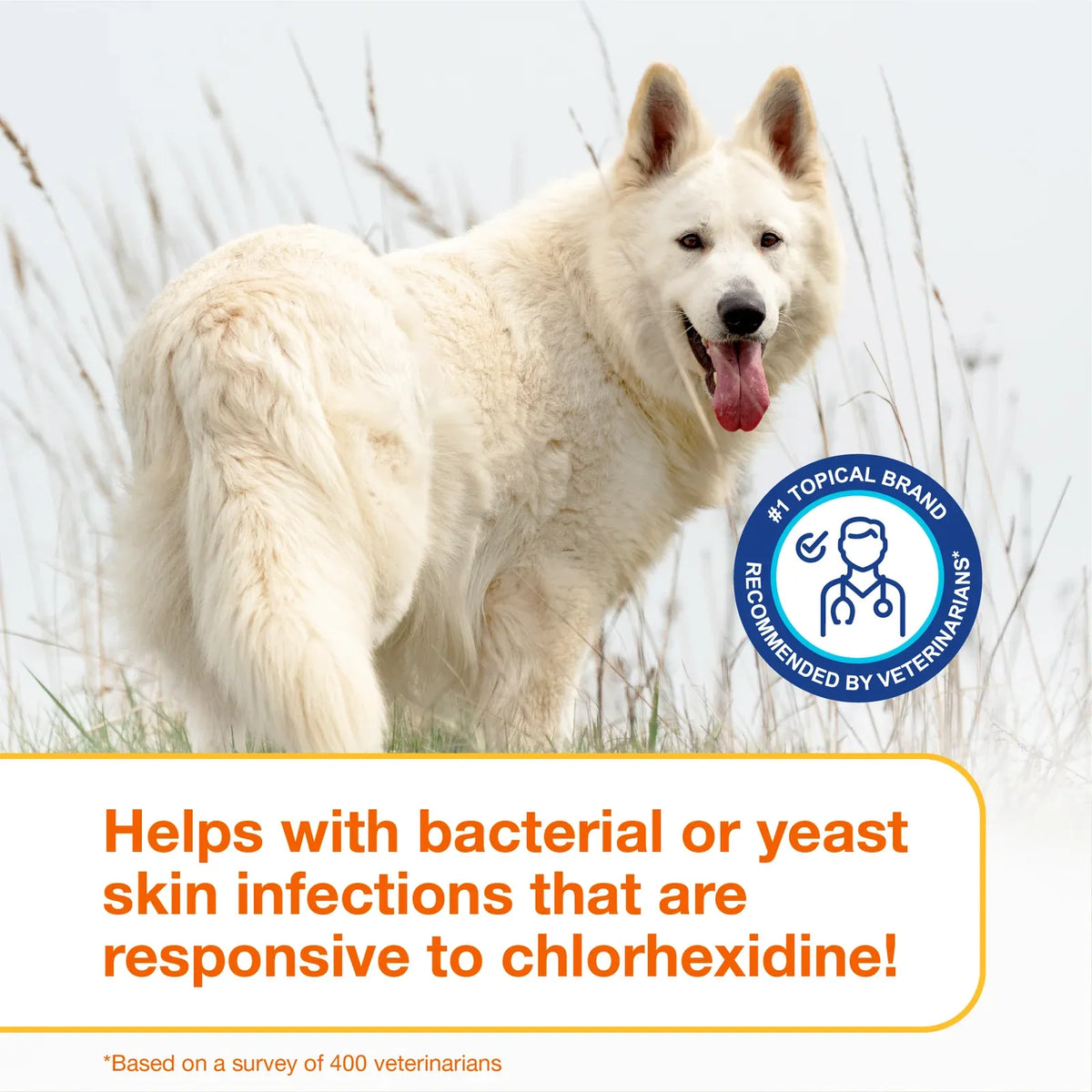 Antiseptic Pet Shampoo for Dogs and Cats with 3% Chlorhexidine Digluconate for Cleansing and Skin Hydration